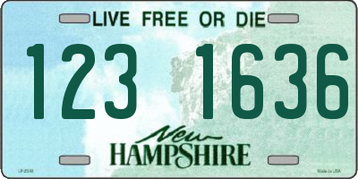 NH license plate 1231636