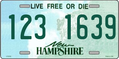 NH license plate 1231639