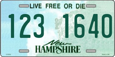 NH license plate 1231640