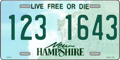 NH license plate 1231643