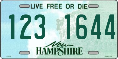 NH license plate 1231644