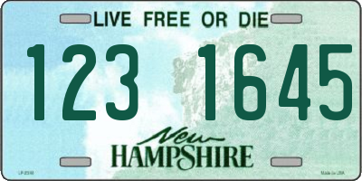 NH license plate 1231645