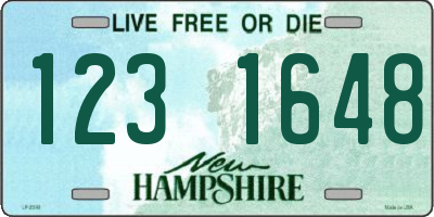 NH license plate 1231648
