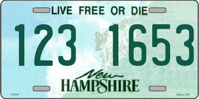 NH license plate 1231653