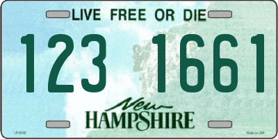 NH license plate 1231661