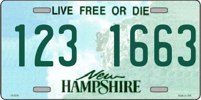 NH license plate 1231663