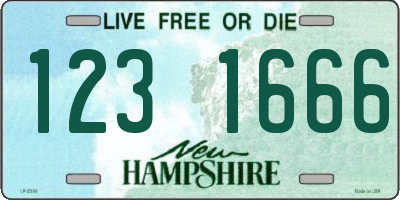 NH license plate 1231666