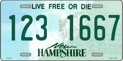 NH license plate 1231667