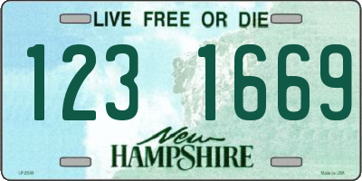 NH license plate 1231669