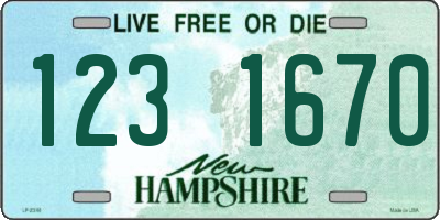 NH license plate 1231670
