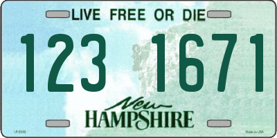 NH license plate 1231671