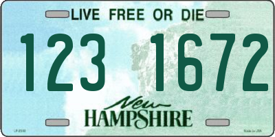 NH license plate 1231672
