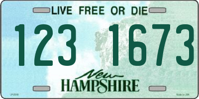 NH license plate 1231673