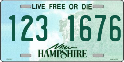 NH license plate 1231676