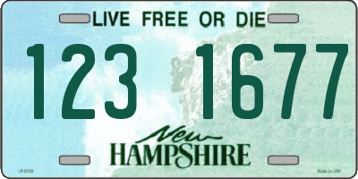 NH license plate 1231677