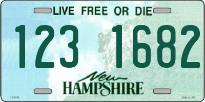 NH license plate 1231682