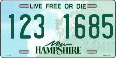 NH license plate 1231685