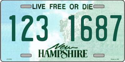 NH license plate 1231687
