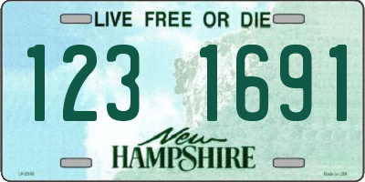 NH license plate 1231691
