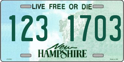 NH license plate 1231703