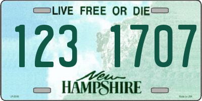 NH license plate 1231707