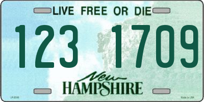 NH license plate 1231709