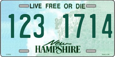 NH license plate 1231714