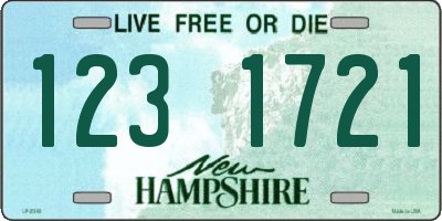 NH license plate 1231721