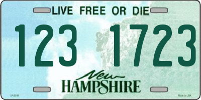 NH license plate 1231723