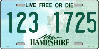 NH license plate 1231725