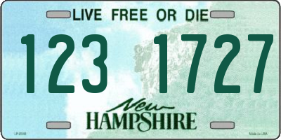 NH license plate 1231727