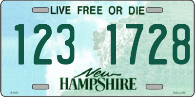 NH license plate 1231728