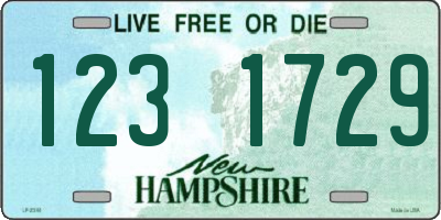 NH license plate 1231729