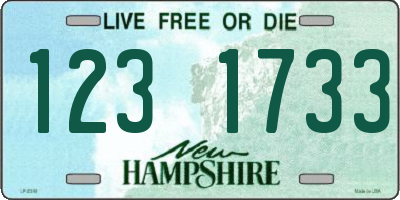 NH license plate 1231733