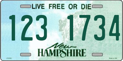 NH license plate 1231734