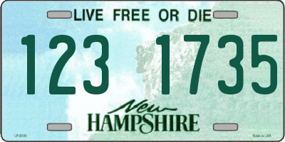 NH license plate 1231735