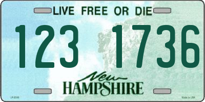 NH license plate 1231736