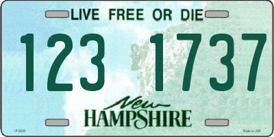 NH license plate 1231737