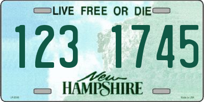 NH license plate 1231745