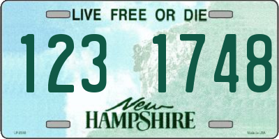 NH license plate 1231748