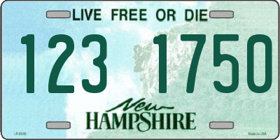 NH license plate 1231750