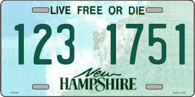 NH license plate 1231751