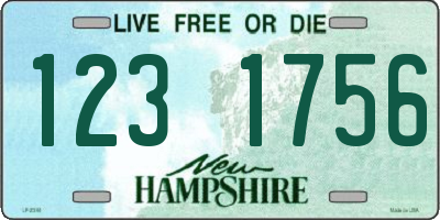 NH license plate 1231756