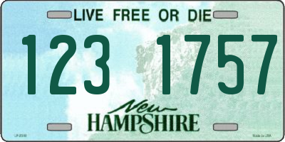 NH license plate 1231757