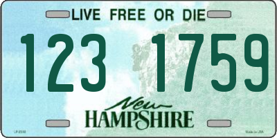 NH license plate 1231759