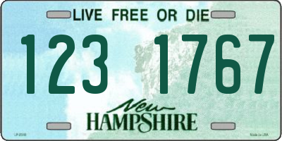 NH license plate 1231767