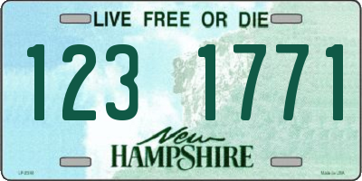 NH license plate 1231771