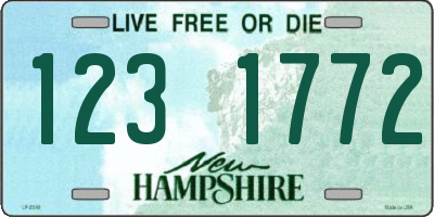 NH license plate 1231772