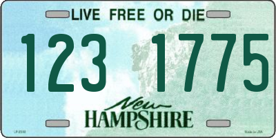 NH license plate 1231775