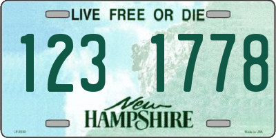 NH license plate 1231778